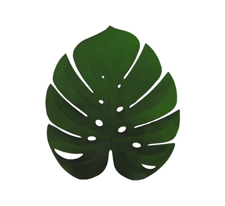 Leaf Table Mat Green