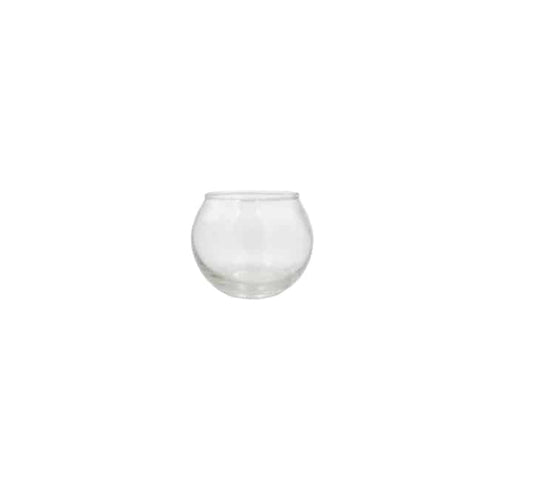 Small Glass Fish Bowl