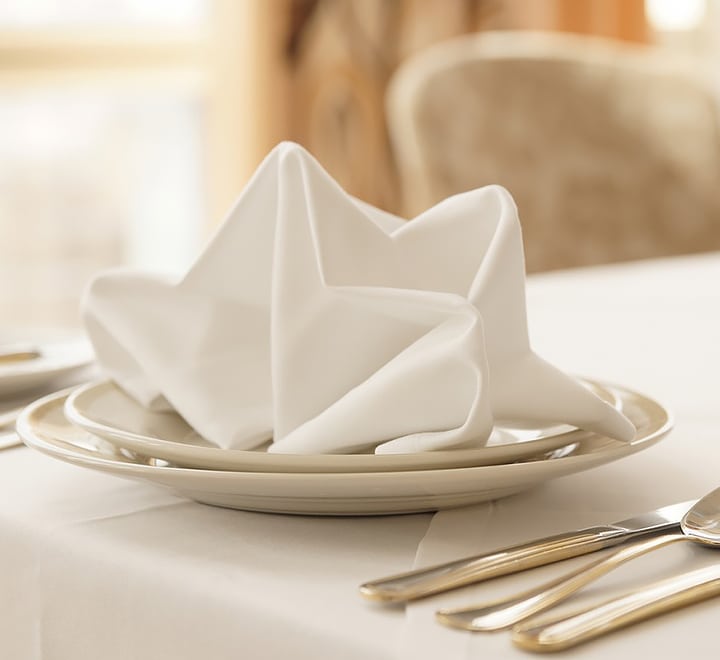 Catering Napkins