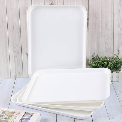 Large Rectangular Plastic Tray